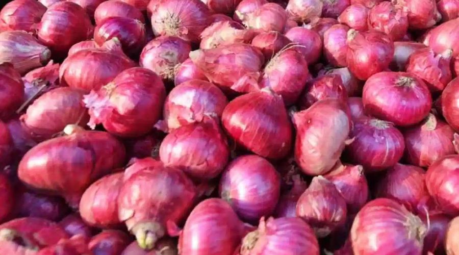 onion rate falls down,If you keep it, it rots and if you sell it, there is no value