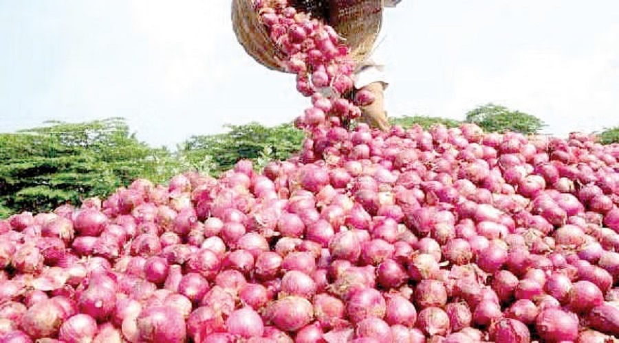 Good news! Total onion subsidy will be available till August 15