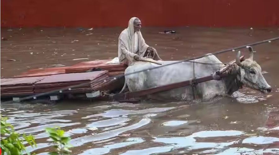 North India rained heavily! Life disrupted, 37 people died