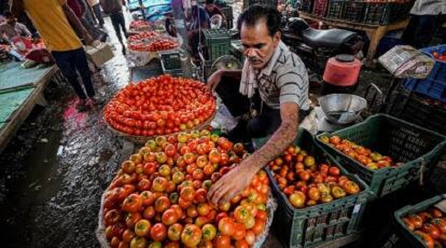 Tomato Price Hike | Lottery due to tomatoes! 18 lakhs earnings per day