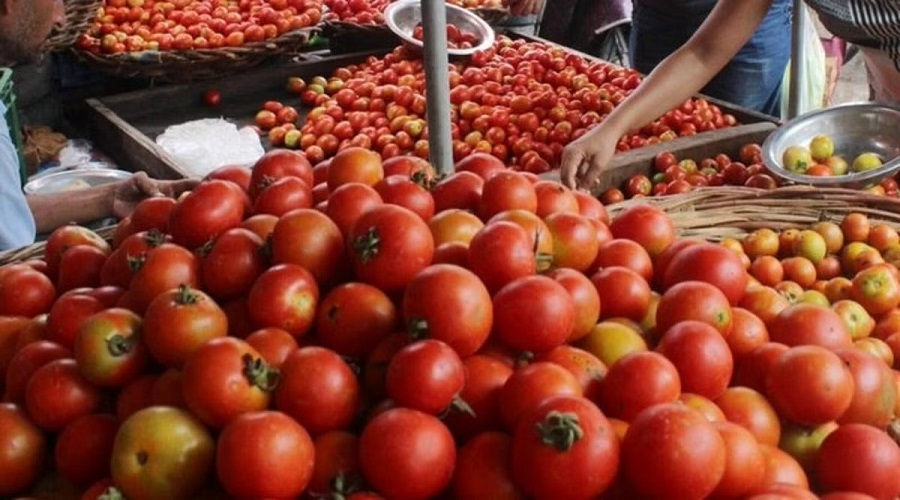 Tomato Price Hike