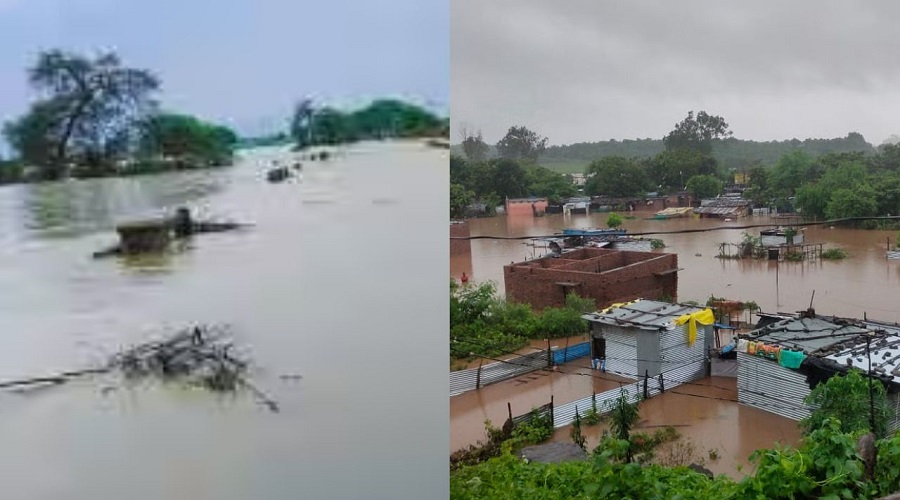 Rainstorm in Vidarbha! The Meteorological Department has issued a warning