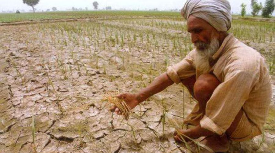 Farmers demand that financial compensation should be given by declaring drought