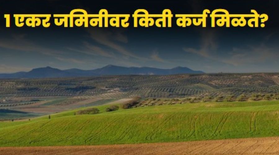 How much loan from govt for 1 acre land? Know detailed information including limits