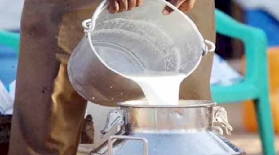 Kisan Sabha Aggressive on milk price, demand Rs 35 price