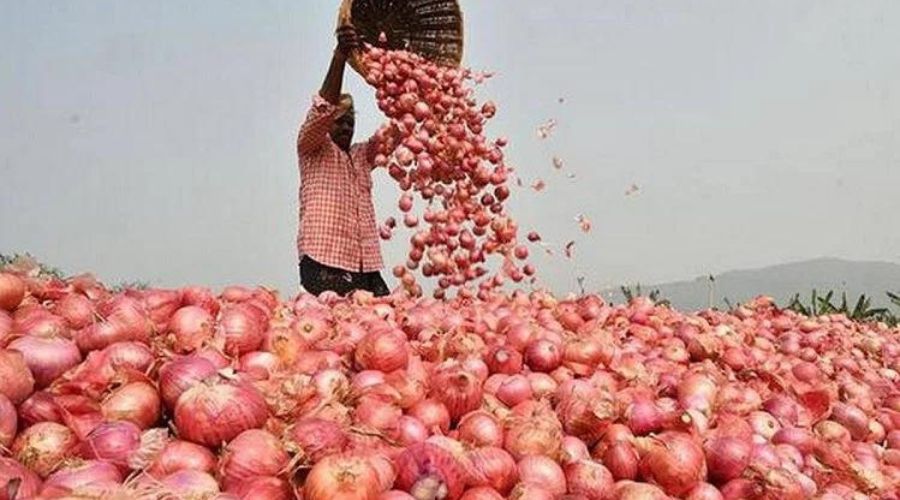 Good news for farmers! Onion fetched the highest price at 'this' place