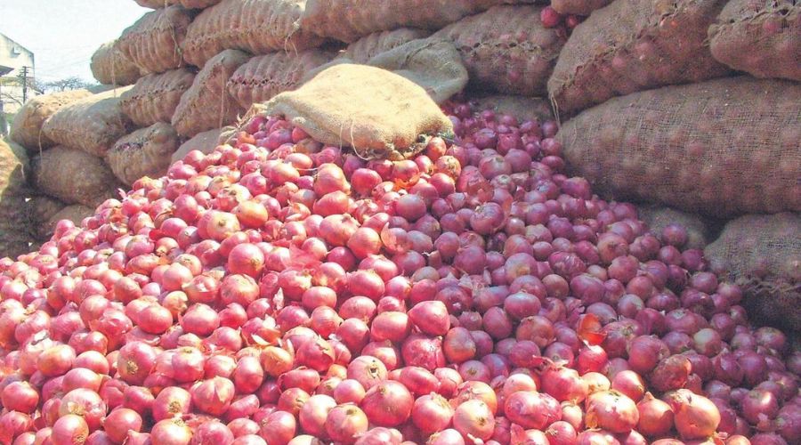 Onion brought tears to the eyes of farmers, prices fell again