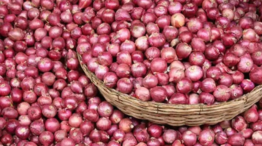 Big hit to farmers! Onion prices fall sharply after export duty hike