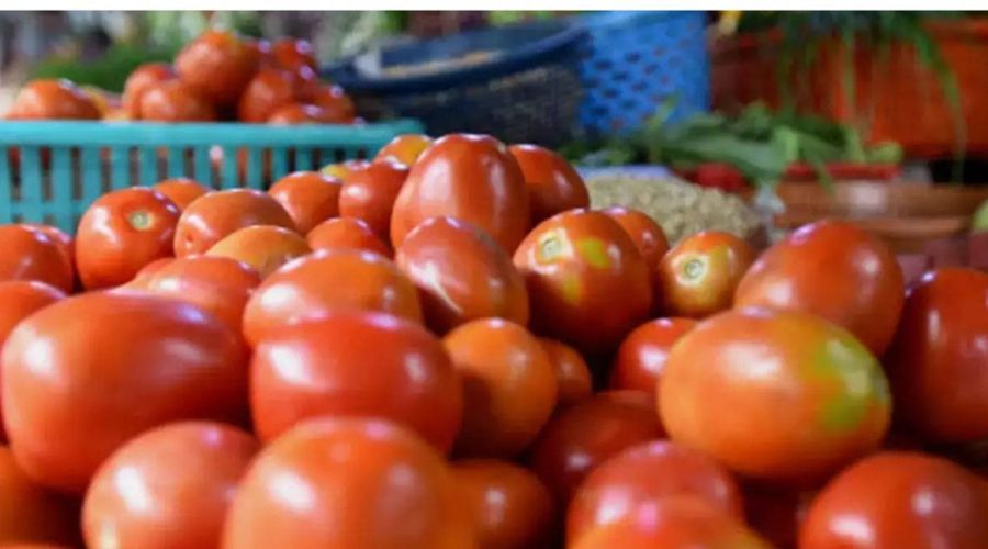 Big shock to farmers! Tomato prices plummeted